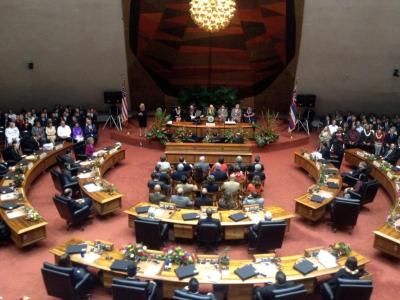 Hawaii House Reps Spend on Refrigeration, Mediation, Translation