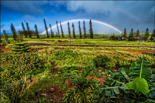 Rainbow in Maunaloa, Molokai
