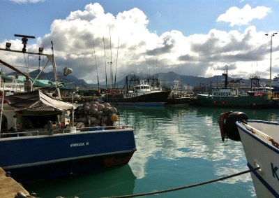 Would Hawaii Marine Monument Expansion Hurt The Tuna Industry?