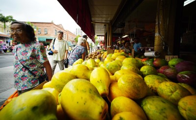 State Agribusiness Agency Says It’s Too Busy To Be Audited