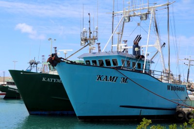 It Looks Like Another Good Year For Hawaii Tuna Fishermen