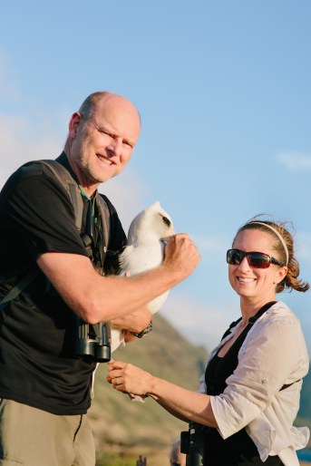 Eric VanderWerf and Lindsay Young banding an albatross at Kaena Point. 