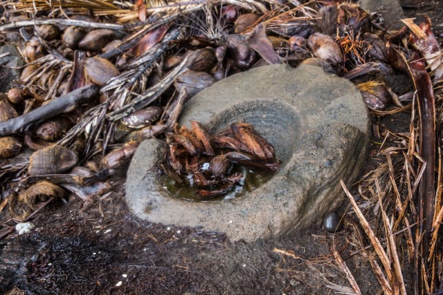 One of many historic artifacts found on Pagan. Brian Turner from the National Trust for Historic Preservation says the Navy needs to do more to survey the island.