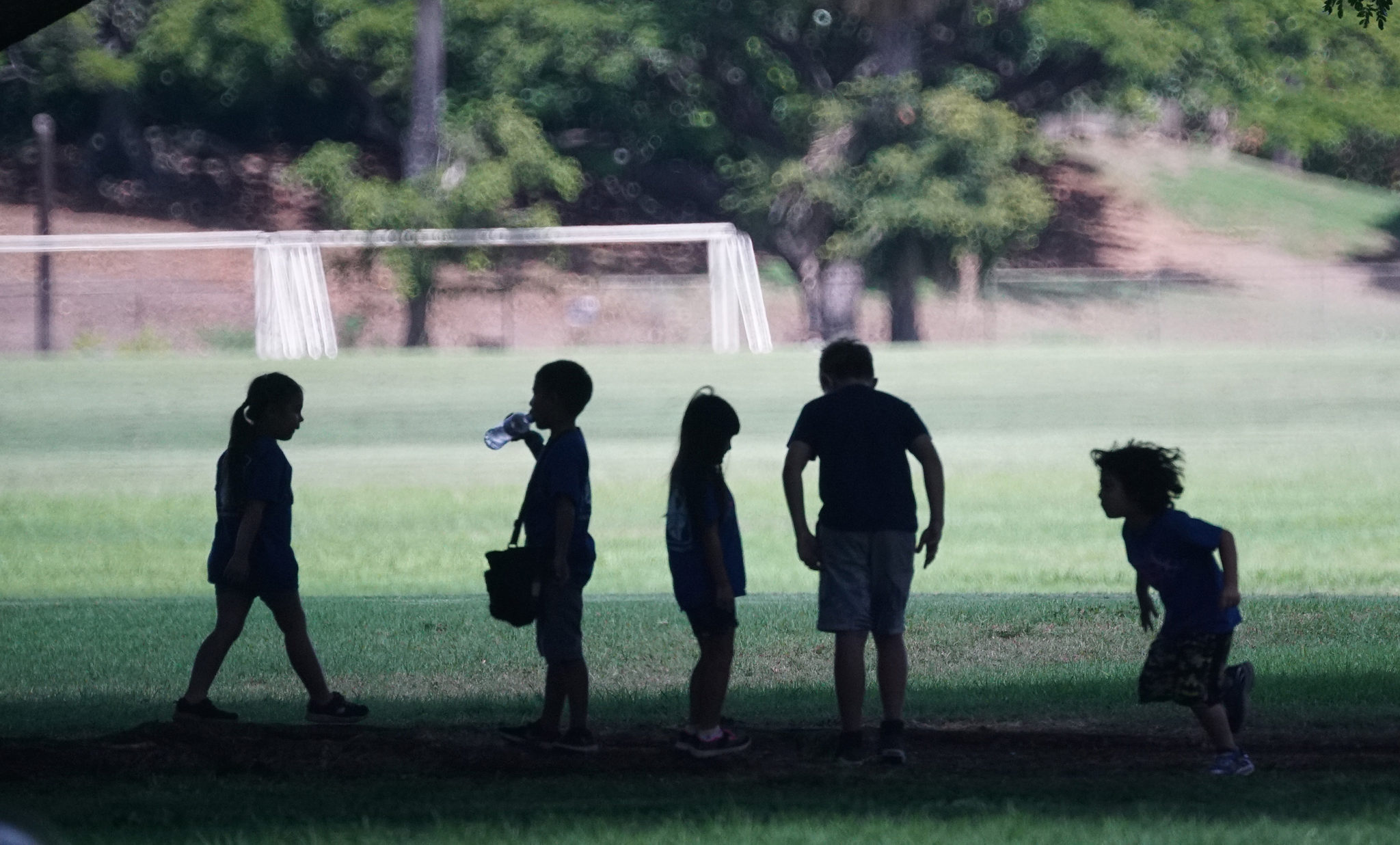 Kids enjoy some shade at Kapiolani Park.