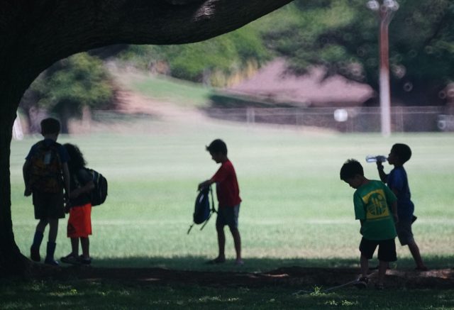 Kids enjoy some shade at Kapiolani Park.