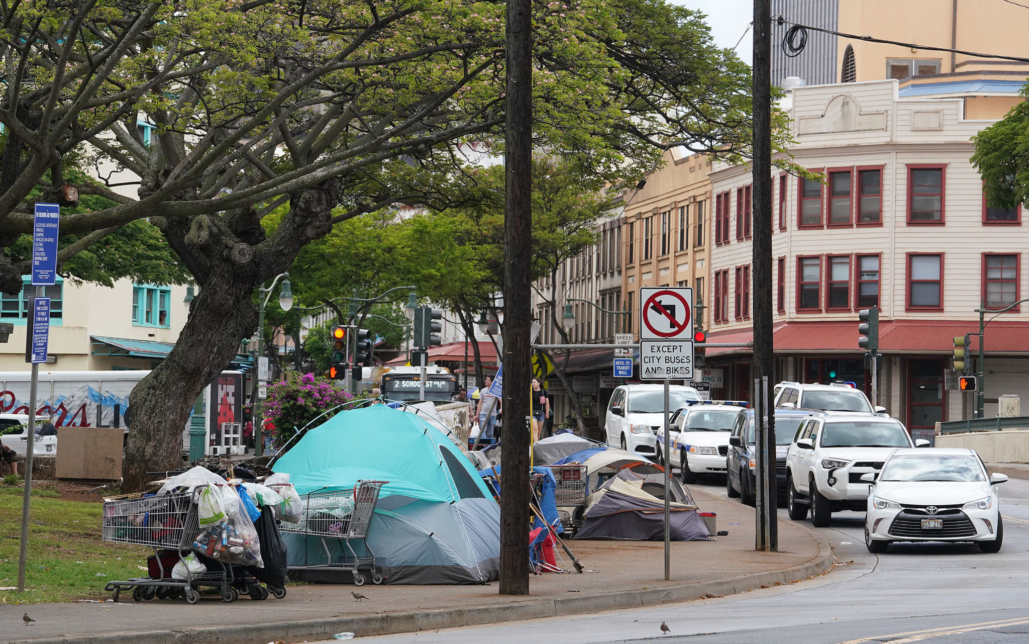 Aala Park today Homeless along King Street.