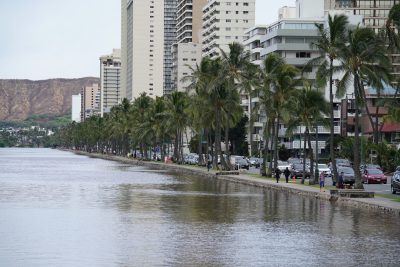 Water levels due to King Tides along the Ala Wai Canal during a high tide at 3pm at the same time that Hurricane Hector was skirting south of the Hawaiian Islands. If Hurricane Hector hit Oahu, this compounded w/ the King TIde could have devastated and flooded Waikiki. 9 aug 2018