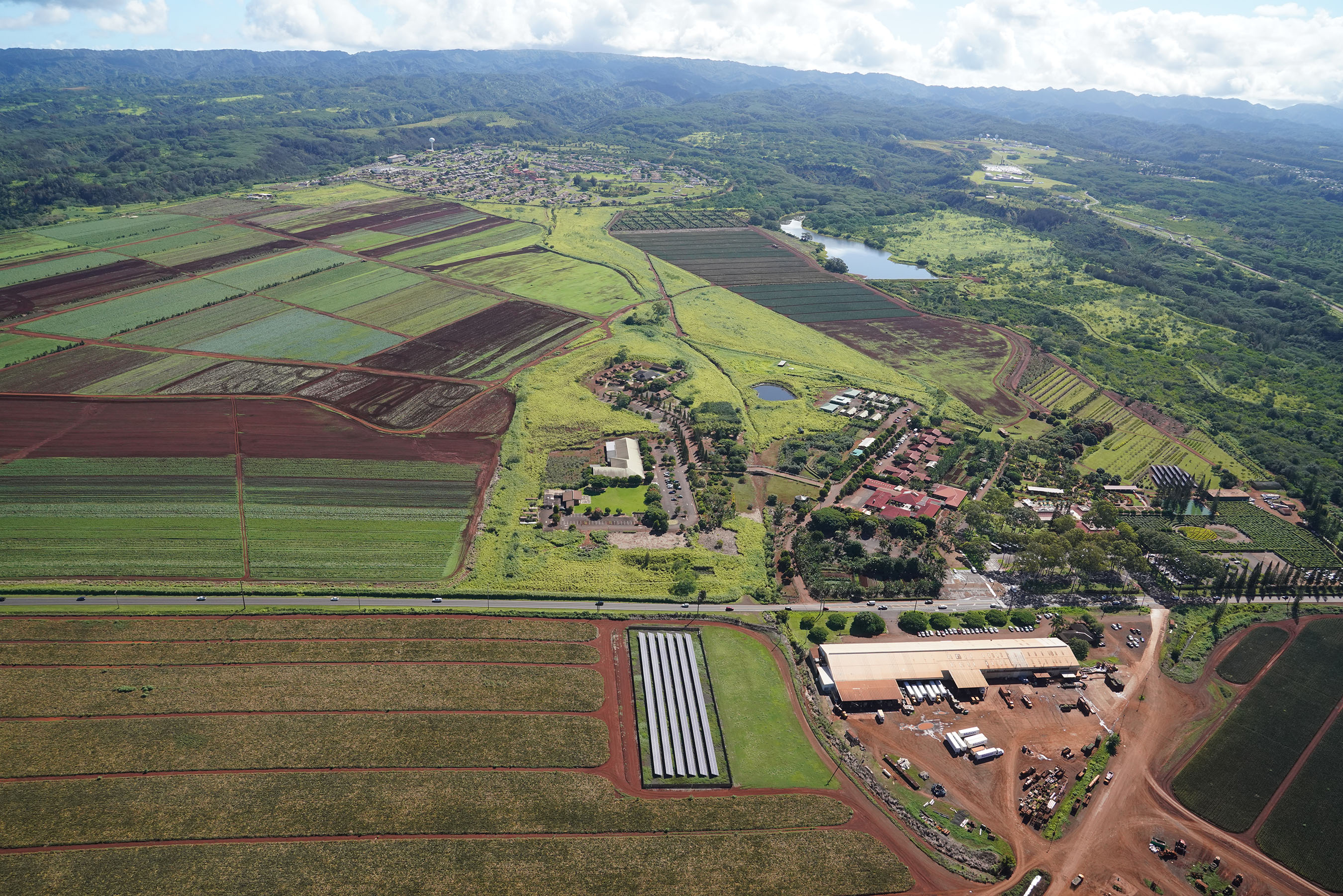 Wahiawa Agricultural Land Helemano Plantation Dole Plantation.
