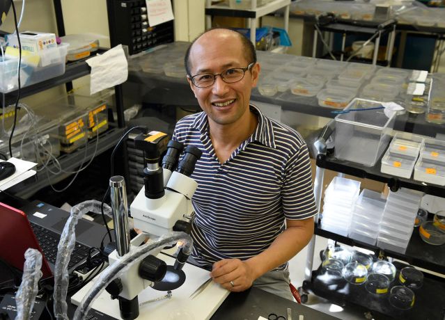 Masato Yoshizawa in his science laboratory at the UH Manoa campus in Honolulu, HI, Tuesday, November 13, 2018. Yoshizawa is studying cave fish in hopes of finding new treatments for humans with autism through his research with the fish. Civilbeat Photo Ronen Zilberman.