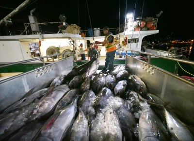 Conflicts, Lax Oversight Shroud This Secretive Fisheries Fund