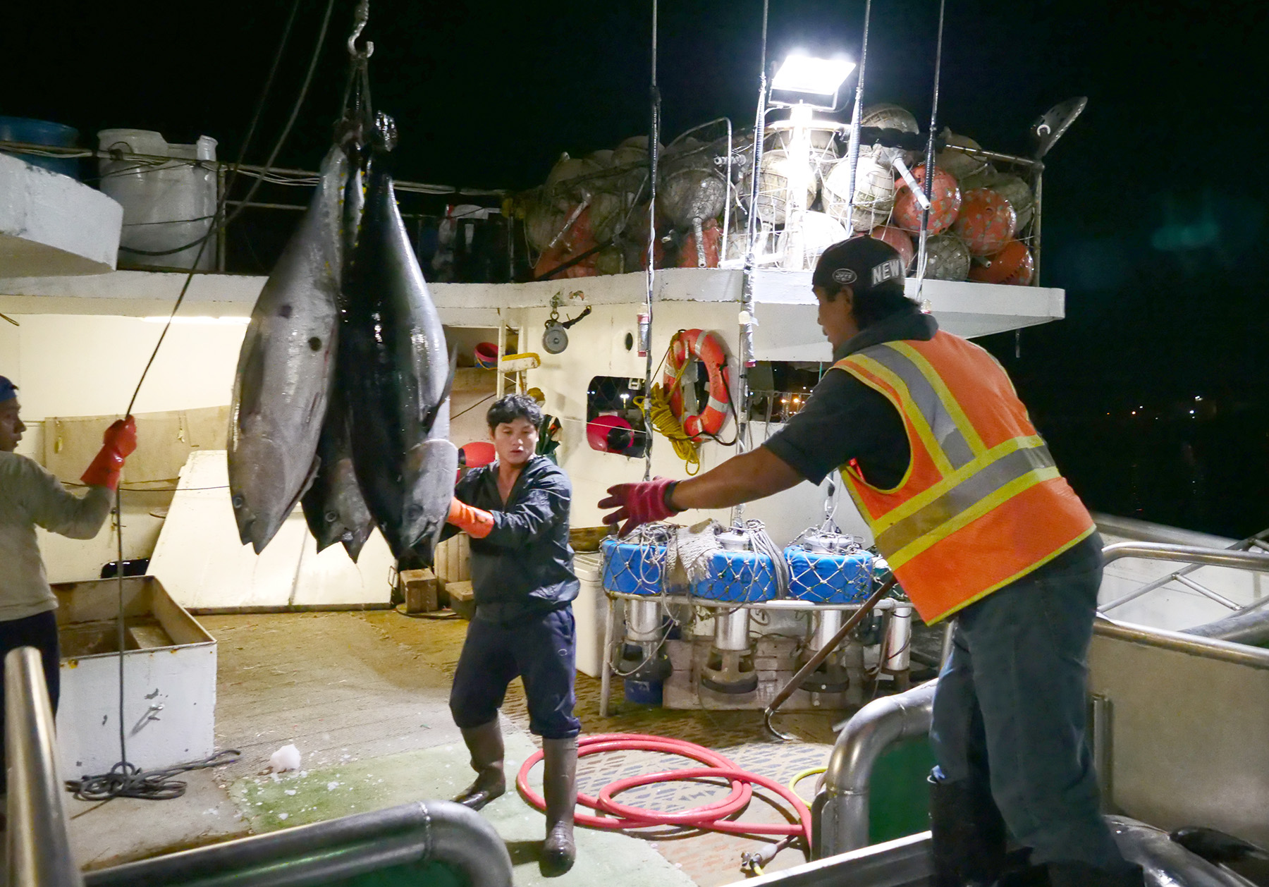 United Fishing Agency's Wilbur Caliri receives a load of fish from a fisherman to be sold at the morning's auction to seafood buyers in an open competitive bidding environment Wednesday, December 5, 2018. Every day starts early on Pier 38 where fishermen can be found six days a week unloading their fresh catches to be sold at the Honolulu Fish Auction. (Civil Beat photo Ronen Zilberman)