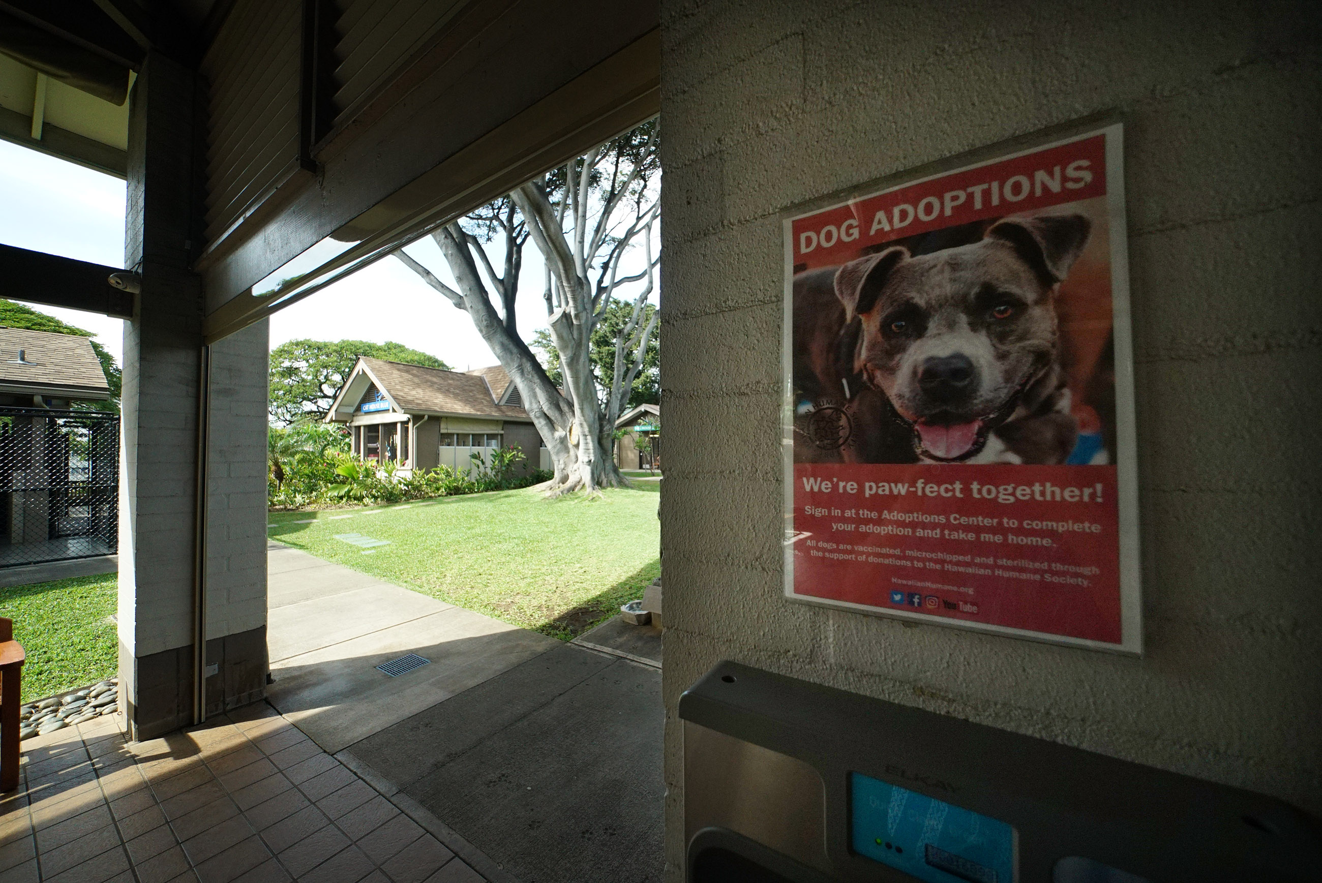 Hawaiian Humane Society signage.