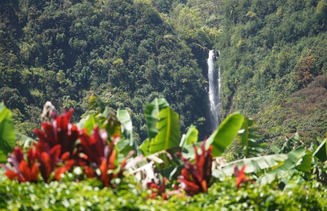 Waterfall in Wailua Maui.