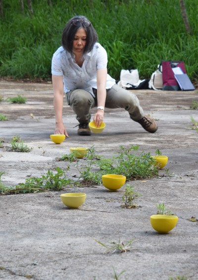 Setsuko Winchester bowls at Honouliuli v1.