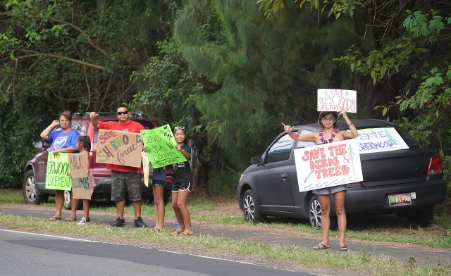 Waimanalo Sherwood Forest Demonstrators along Kalanianiole Highway.