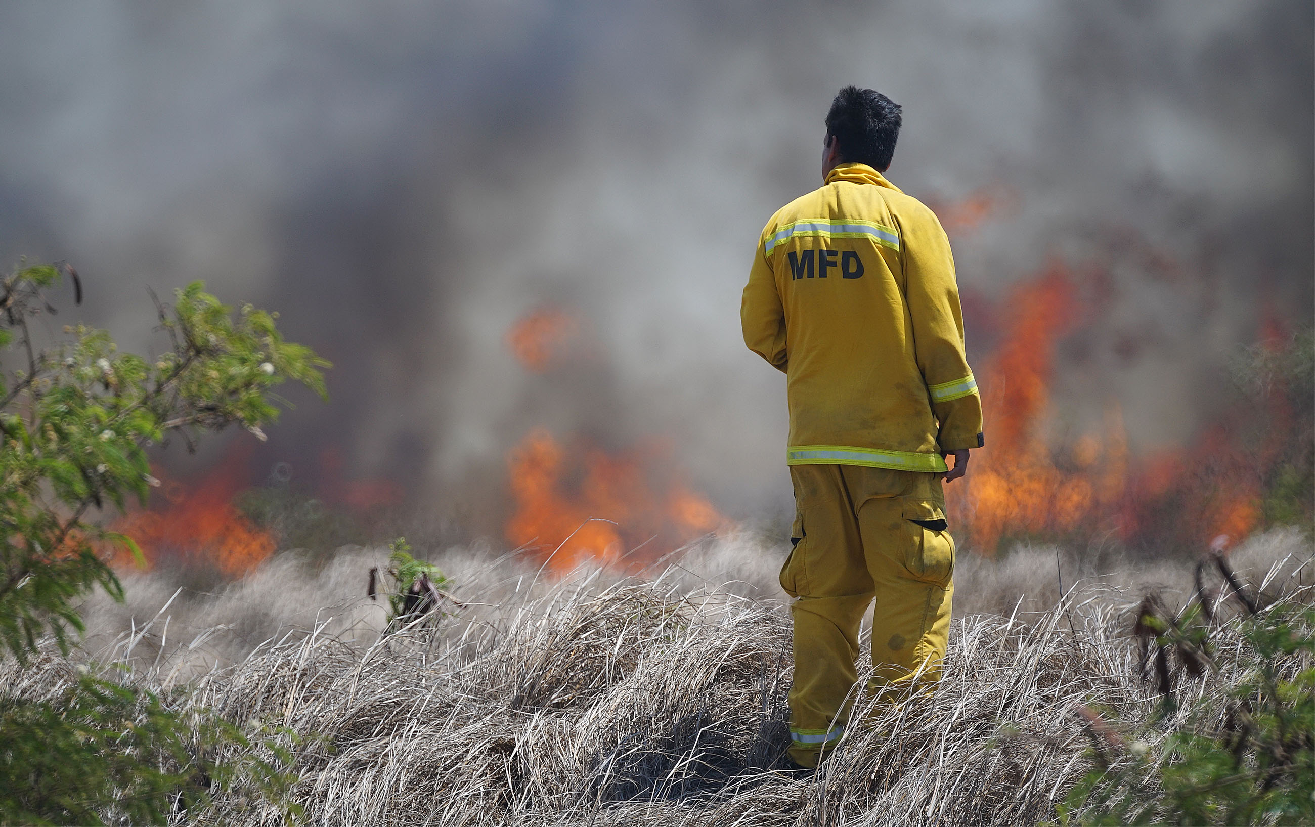 Maui firefighter watches brush fire along Pulehu Road, Maui.