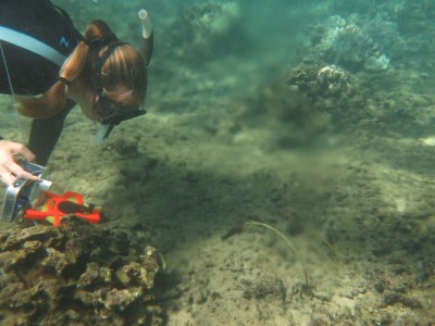 Maui County Running Out Of Time To Settle Clean Water Act Case