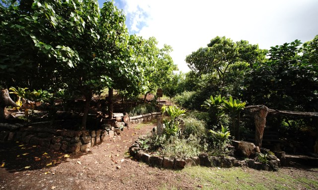 Na Pohaku o Hauwahine park along Kapaa Quarry Road.