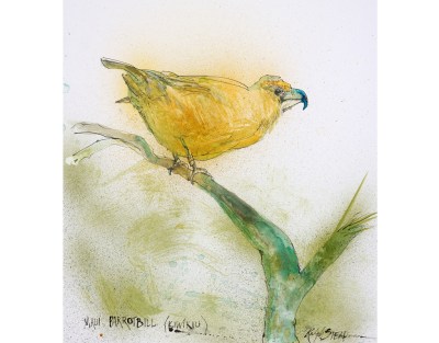 Fighting To Save This Rare Maui Forest Bird From Extinction