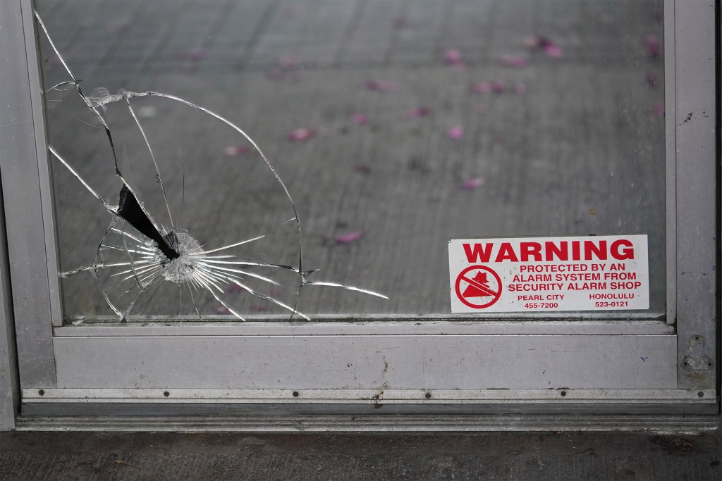 Downtown Fort Street Mall property damage vandalism.