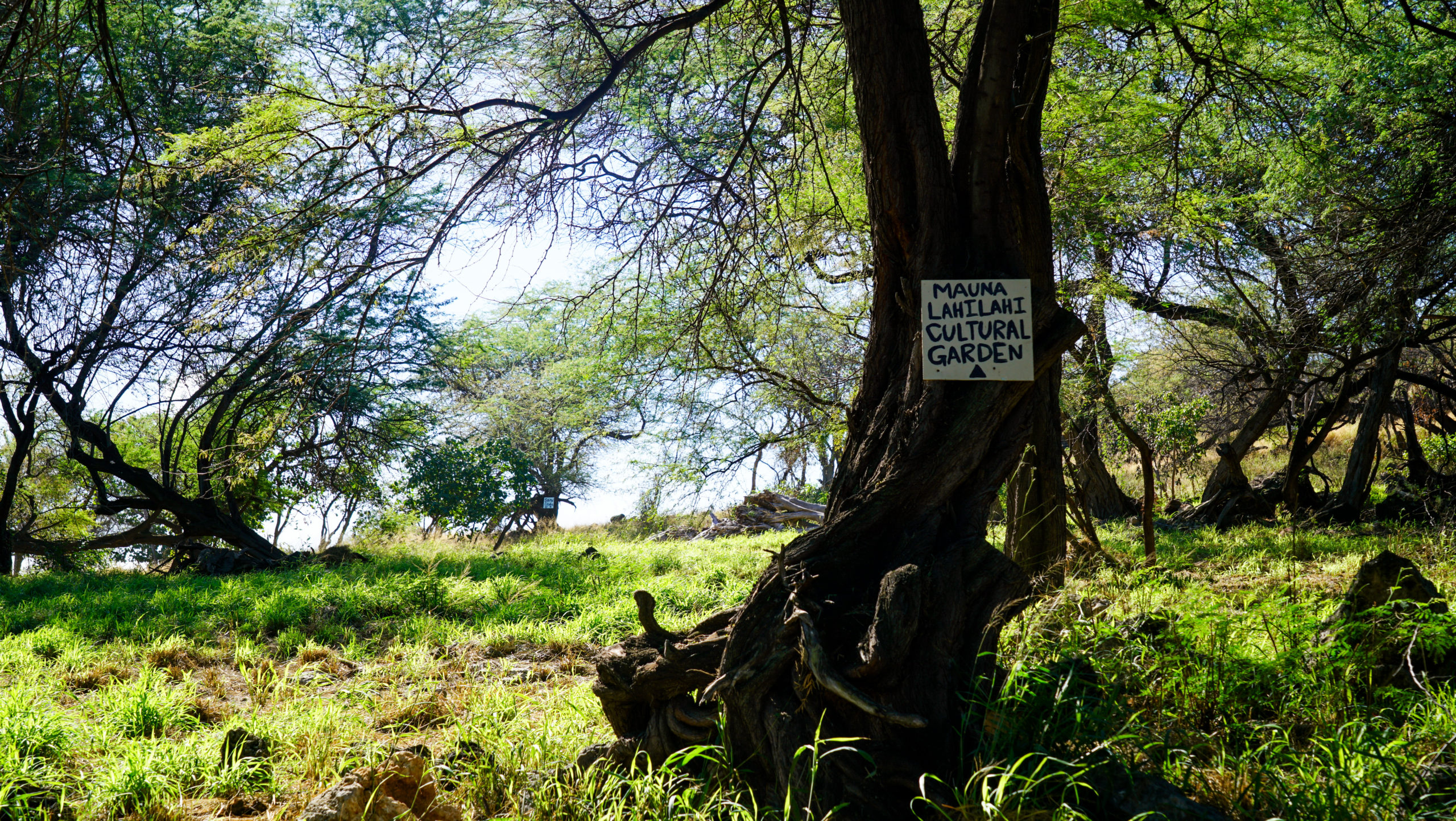 Makaha Mauna Lahilahi Botanical Garden Cleanup Fault Lines