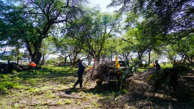 How These Makaha Neighbors Saved A County Park From Crime And Weeds
