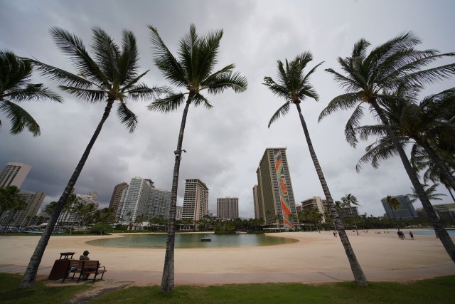 There are more coconut trees than visitors at the Hilton Lagoon after the mandatory visitor 14-day quarantine for out of state arrivals.