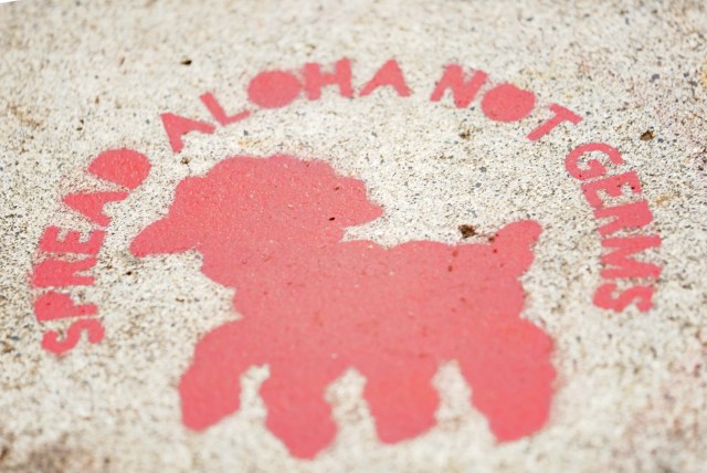 St Ann School sign painted on the sidewalk on campus. Share Aloha Not Germs.