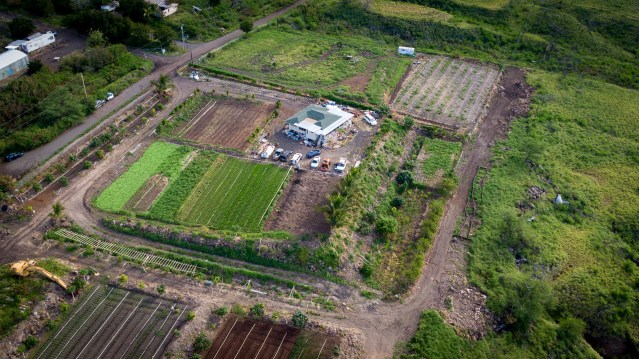 Waianae Agriculture Park Hawaii Grown