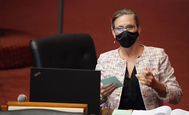 Representative Tina Wildberger during floor session. April 8, 2021