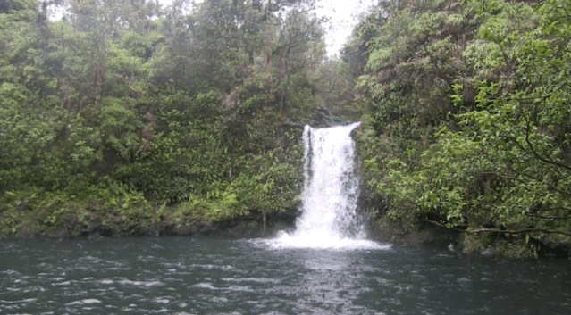 Stream East Maui