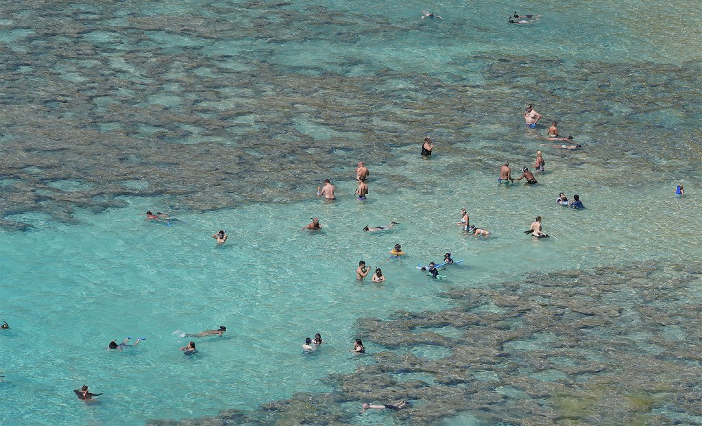 Hanauma Bay Park visitors swim and enjoy the water.