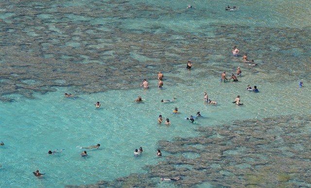 Hanauma Bay Park visitors swim and enjoy the water.