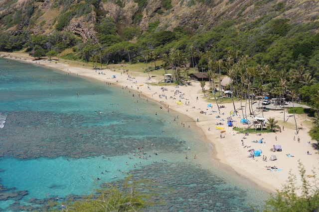 Hanauma Bay visitos.