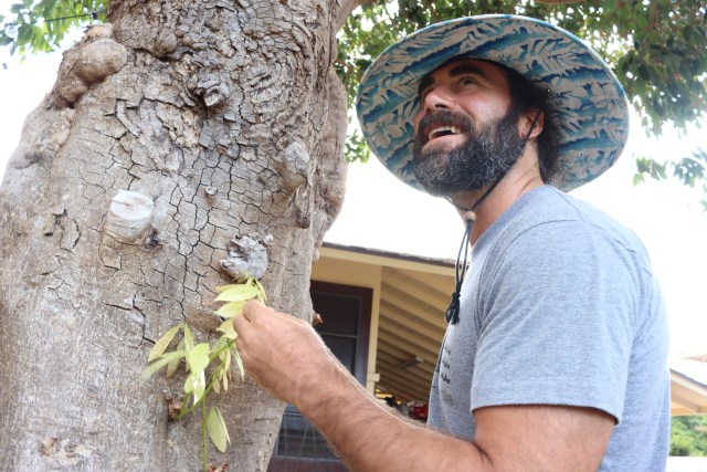 Russell Galenti, extension agent at the University of Hawaii, authored the study of the red ginger virus.