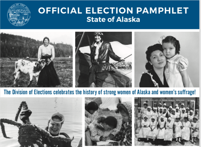 image from Alaska's official elections pamphlet of 2002