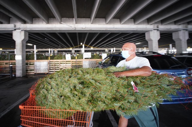 Kaneohe resident Paul Carlson pushes his newly purchased tree at Home Depot located in Iwilei.