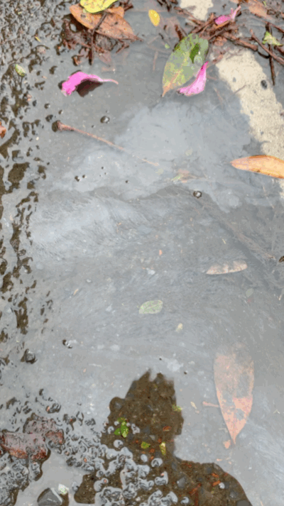 Red Hill AMR Oil Water Ground