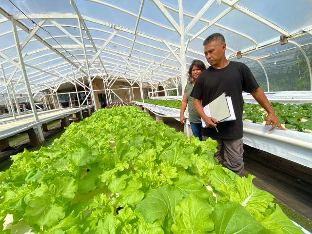 Simeon and Katherine Rojas of Hooah Farms
