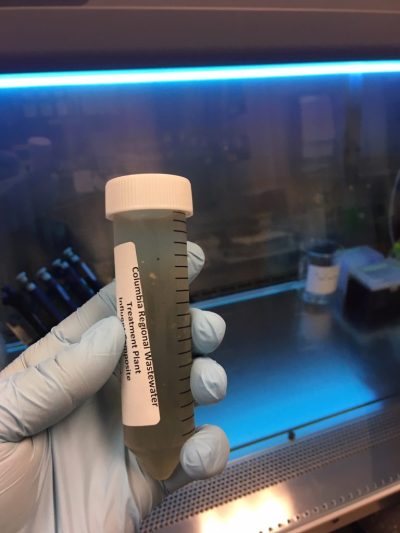 A University of Missouri researcher holds a wastewater sample. Missouri was an early adopter of testing sewage for coronavirus.