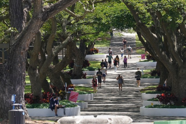 University of Hawaii at Manoa campus.