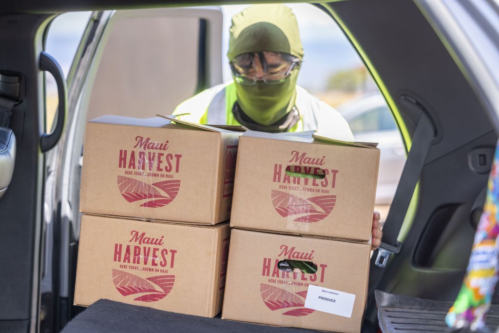 photo of food box deliveries as part of the Kaukau 4 Keiki program