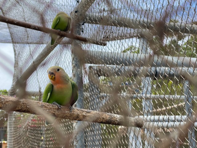 Hale Manu Bird Aviary Sea Life Park