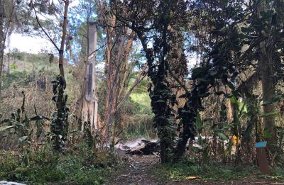 Boyd-Irwin-Hedemann Estate Queen's Retreat fire