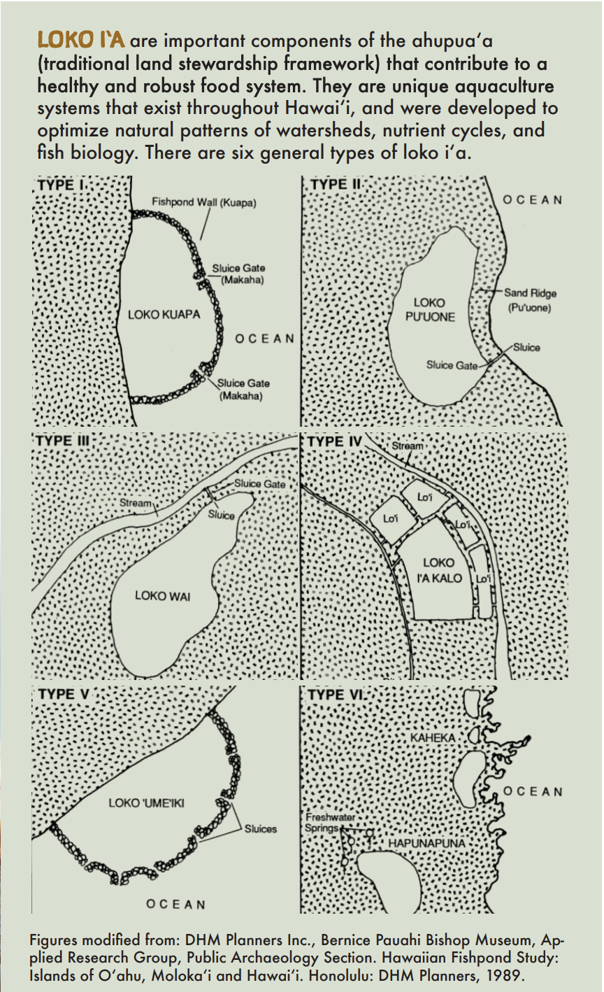 A graphic showing the types of loko ia in Hawaii