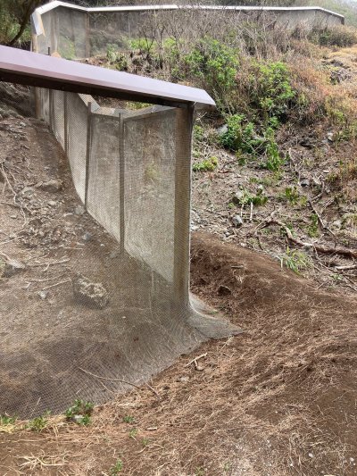 One foot of mesh extends outward from the base of the predator-proof fence. When buried, it will prevent unwanted animals from digging underneath the barrier. The stainless-steel hood will be painted to blend in with the landscape.
