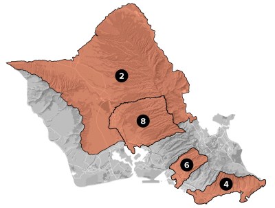 Oahu council districts with 2022 primary races.
