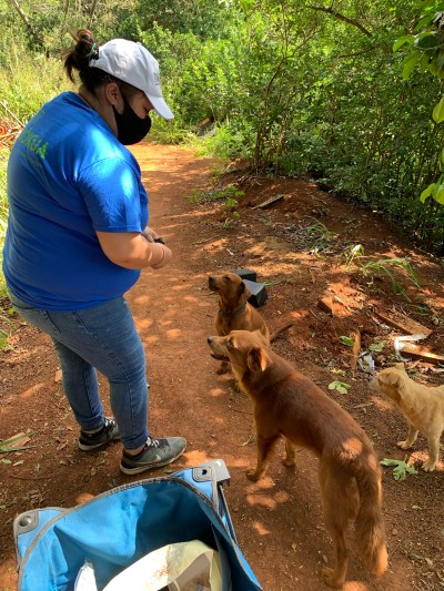 Homeless dogs pets homelessness Catherine Toth Fox column