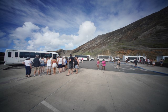 Parked buses at the Halona Blow Hole parking lot.