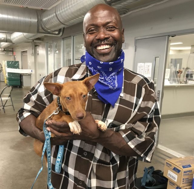 Homeless dogs pets homelessness Catherine Toth Fox column